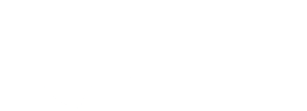 ICG10 Capital